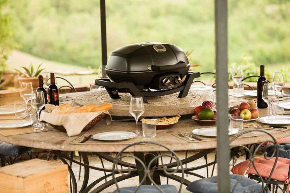 Napoleon Gasbarbecue Travelq Pro285