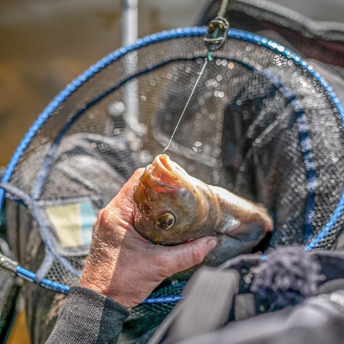 Prestoncarbon Free Flow Landing Net 18Inch