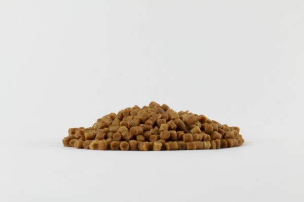 Evezet Premium Coarse Carp Pellets 4MM