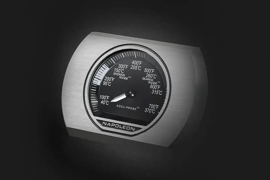 Napoleon Rogue 365 Matte Black LPG