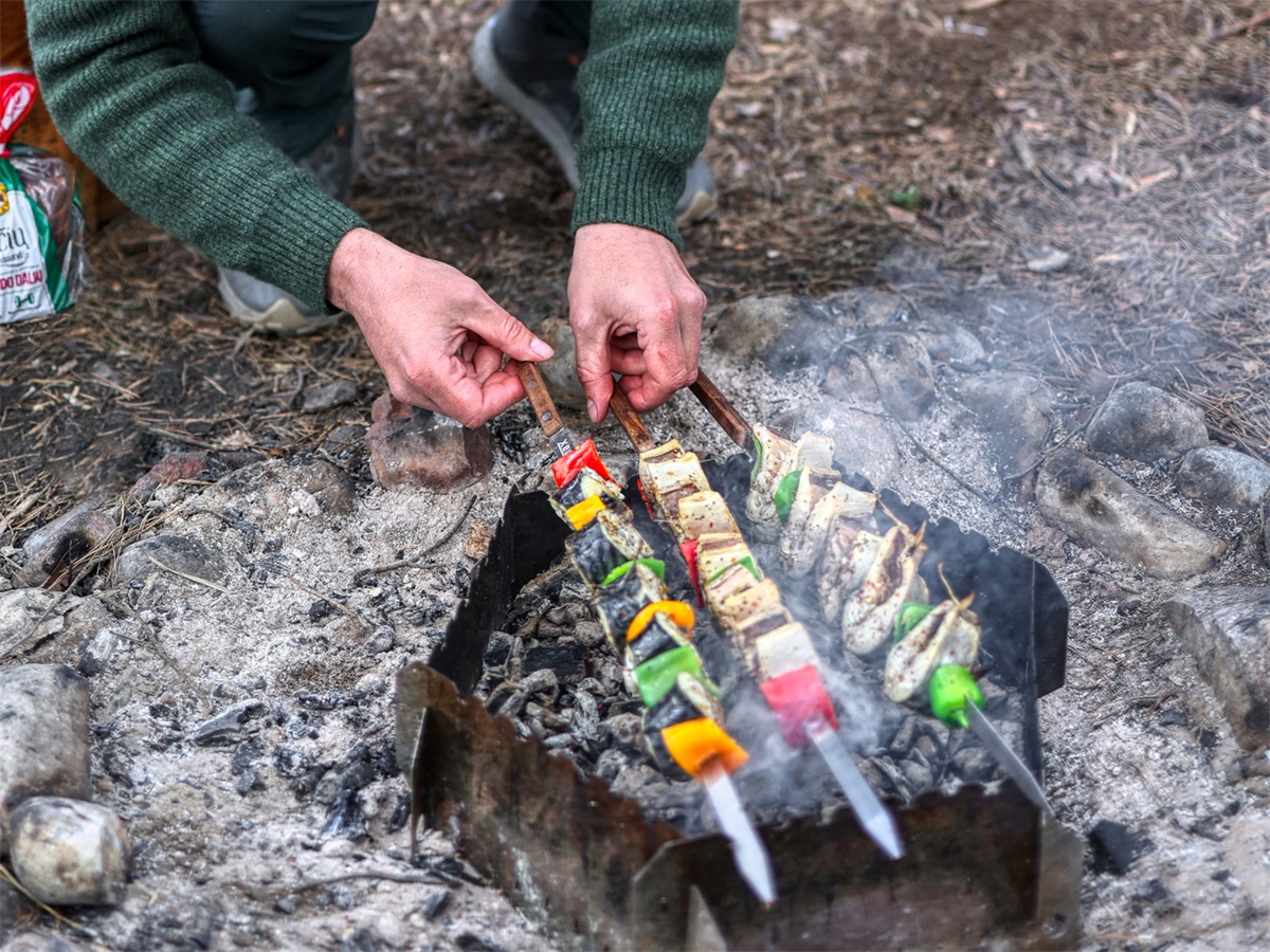 Petromax BBQ Spiesen 4 Stuks
