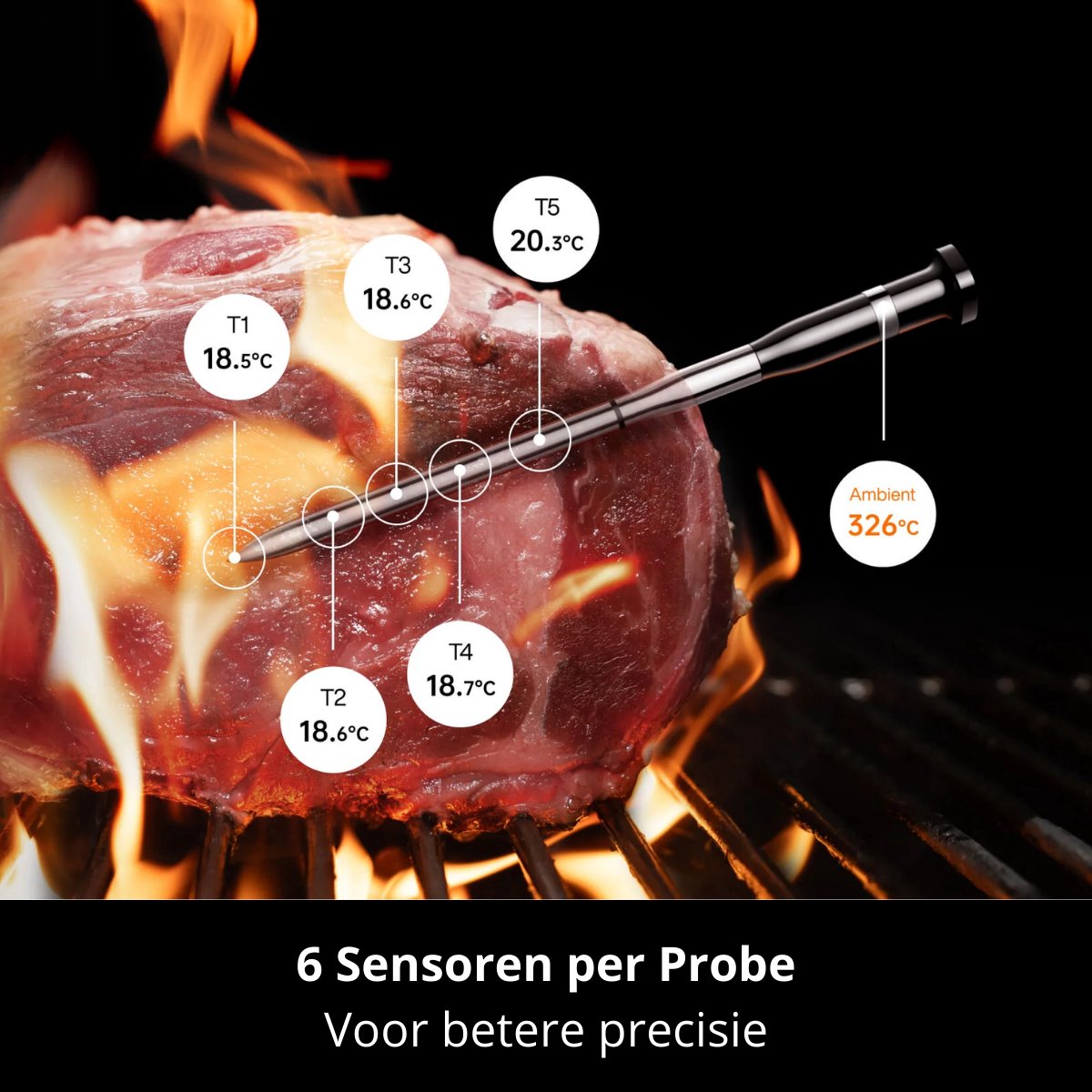 Typhur Sync One Wireless Thermometer