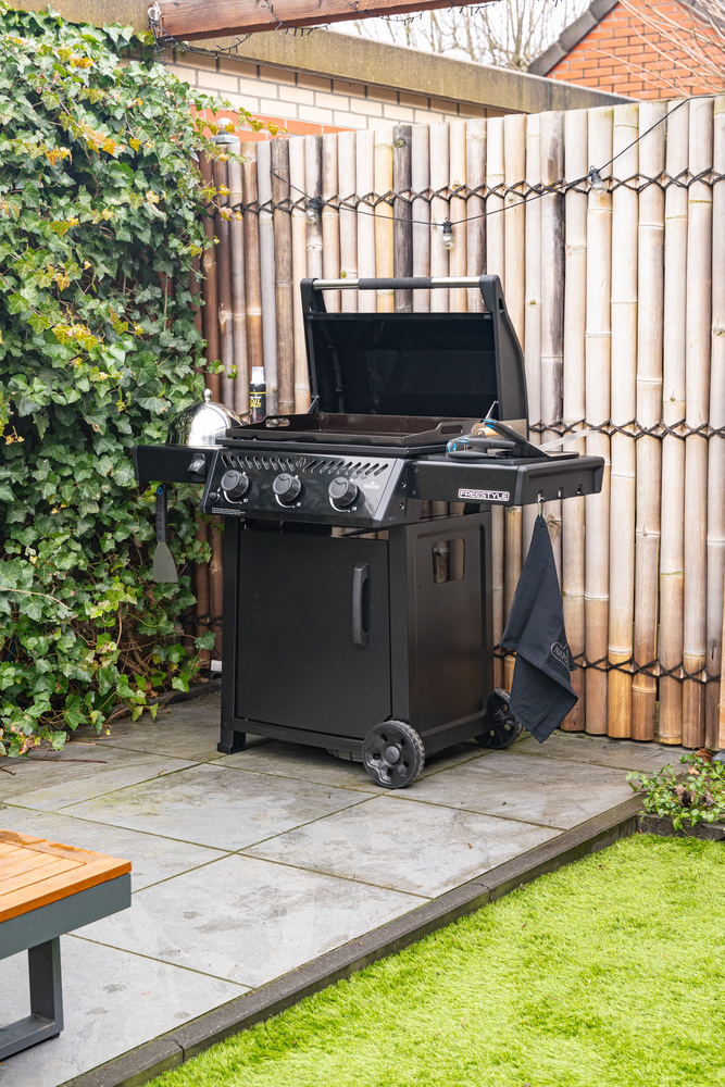 Napoleon Plancha Freestyle 24