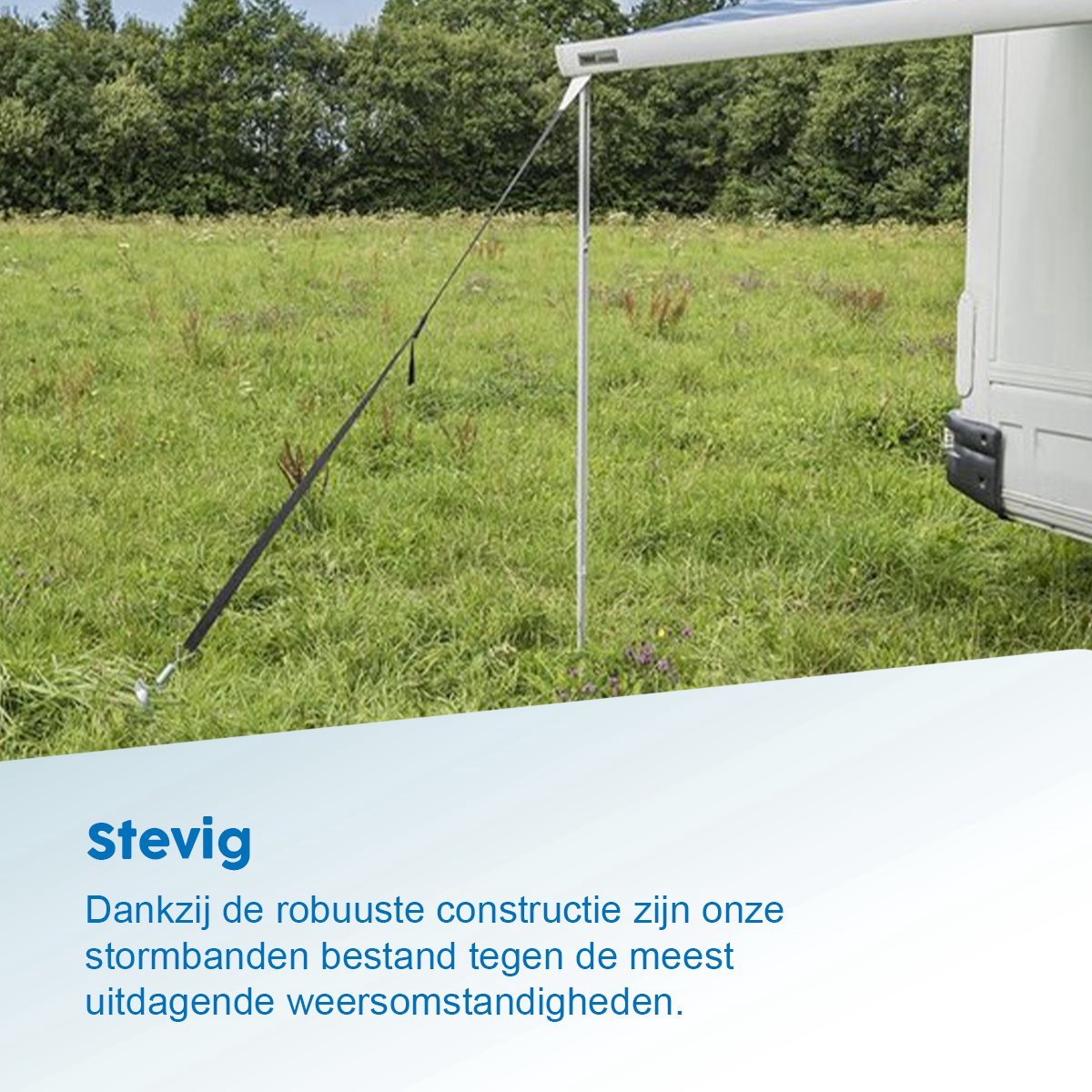 ProPlus Stormband Set 2X 3,2M Met Peesbevestiging