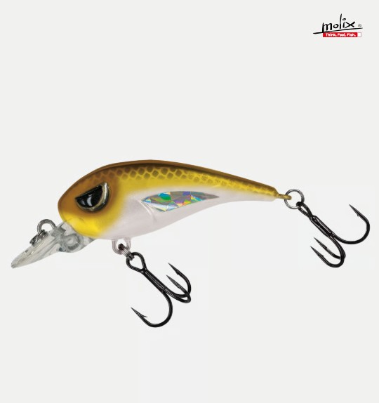 Molix FC 45 MR - #623 Pearl White Gold Back [Capuccini]