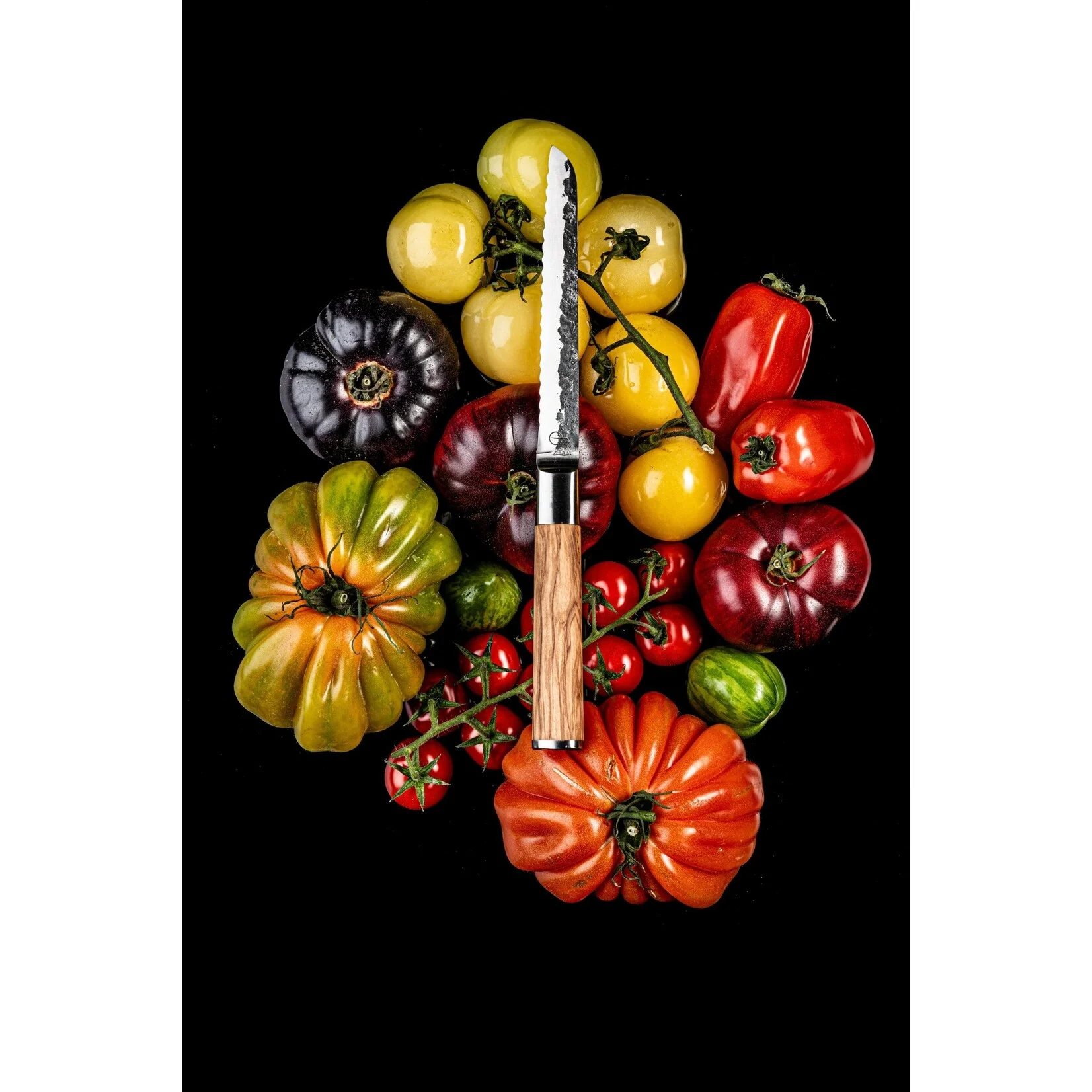 Forged Olive Universeel mes - 14Cm - Gekarteld