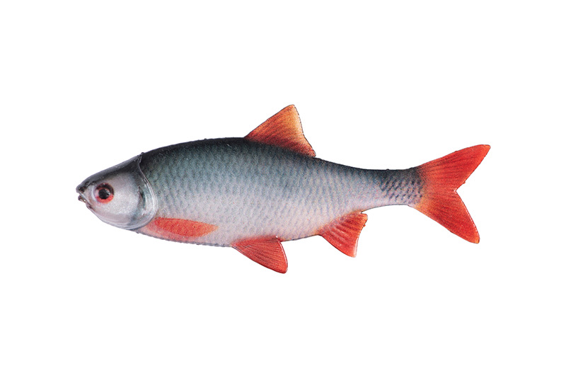 Fox rage Natural Roach Fillet 6cm