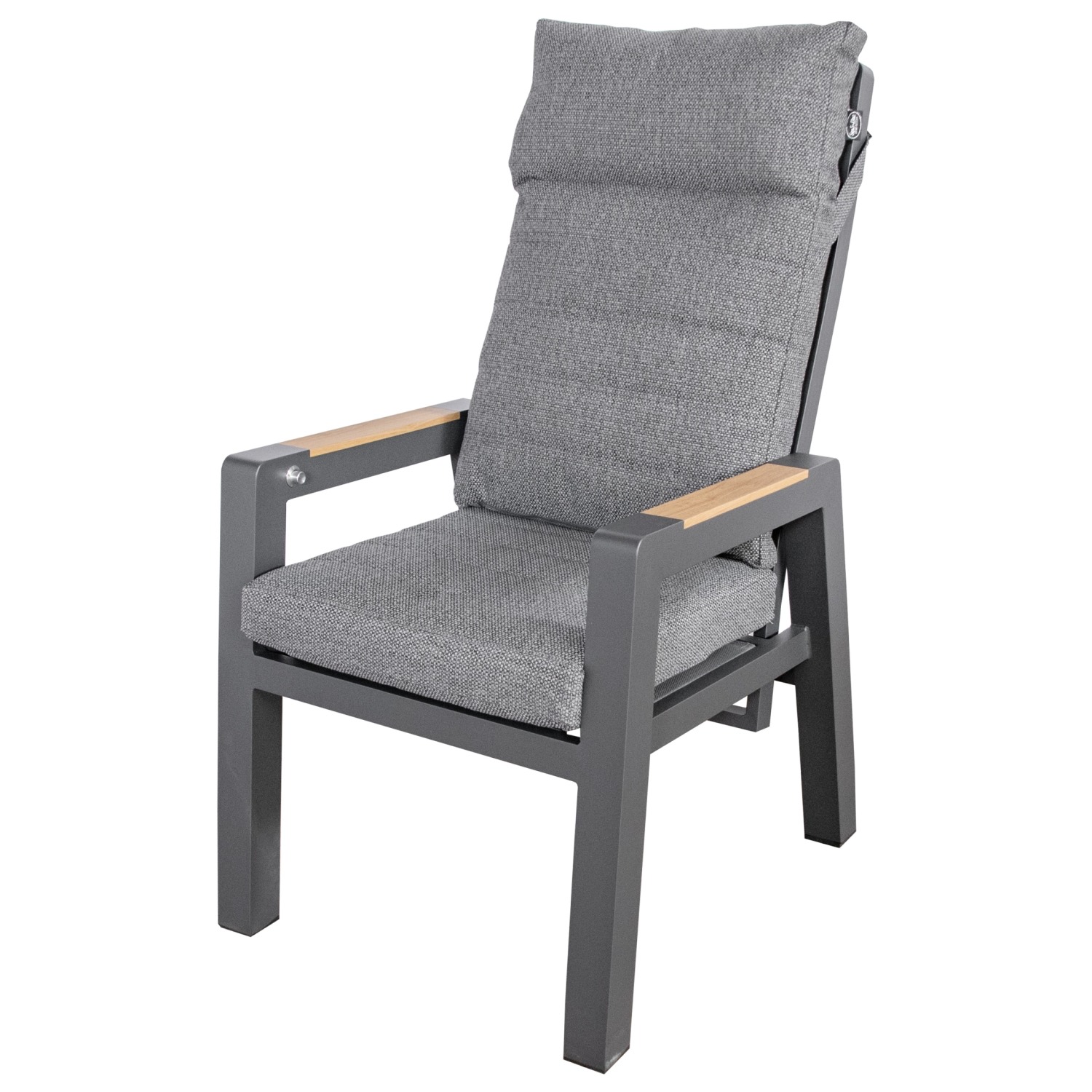 SenS-Line Montana Diningstoel Met Houtlook Armleuningen