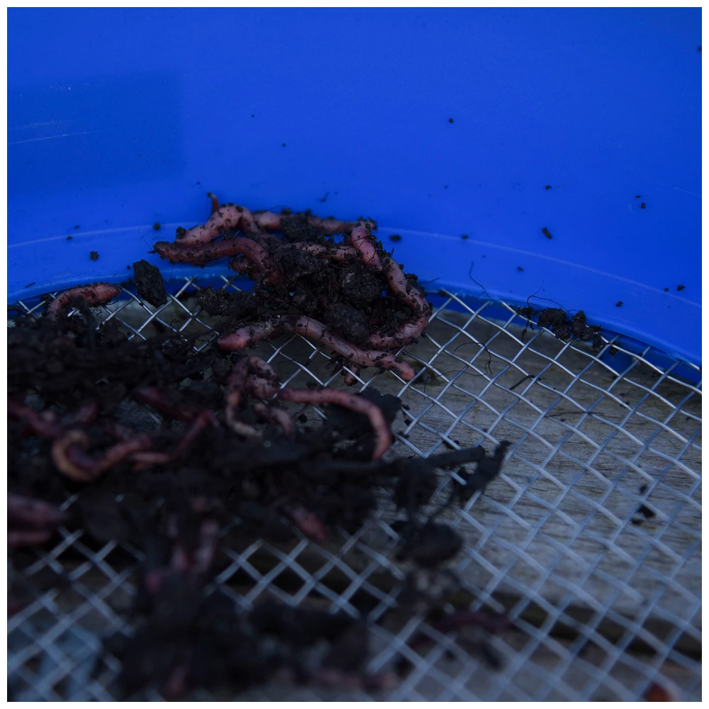 Cresta Supa Riddle Square Mesh 2Mm