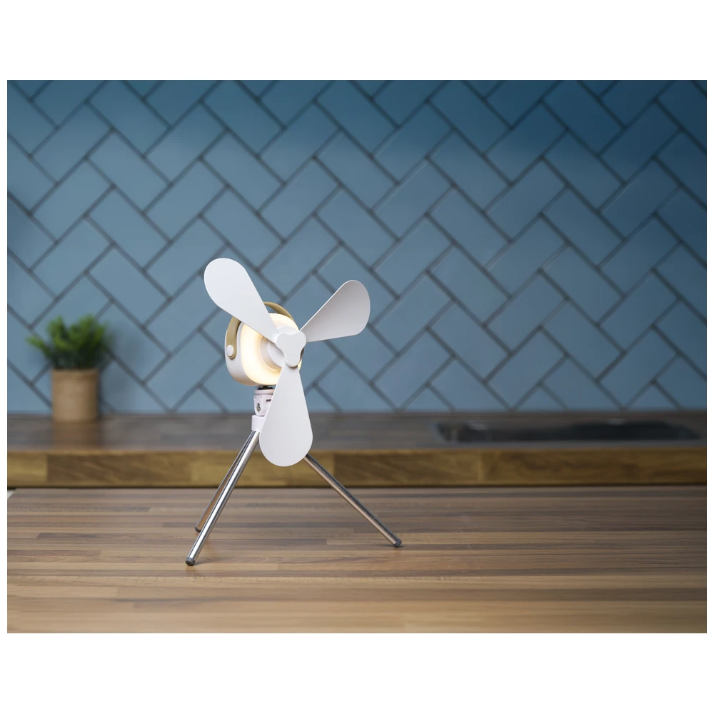 Fan Table 12Cm Usb 2000Mah