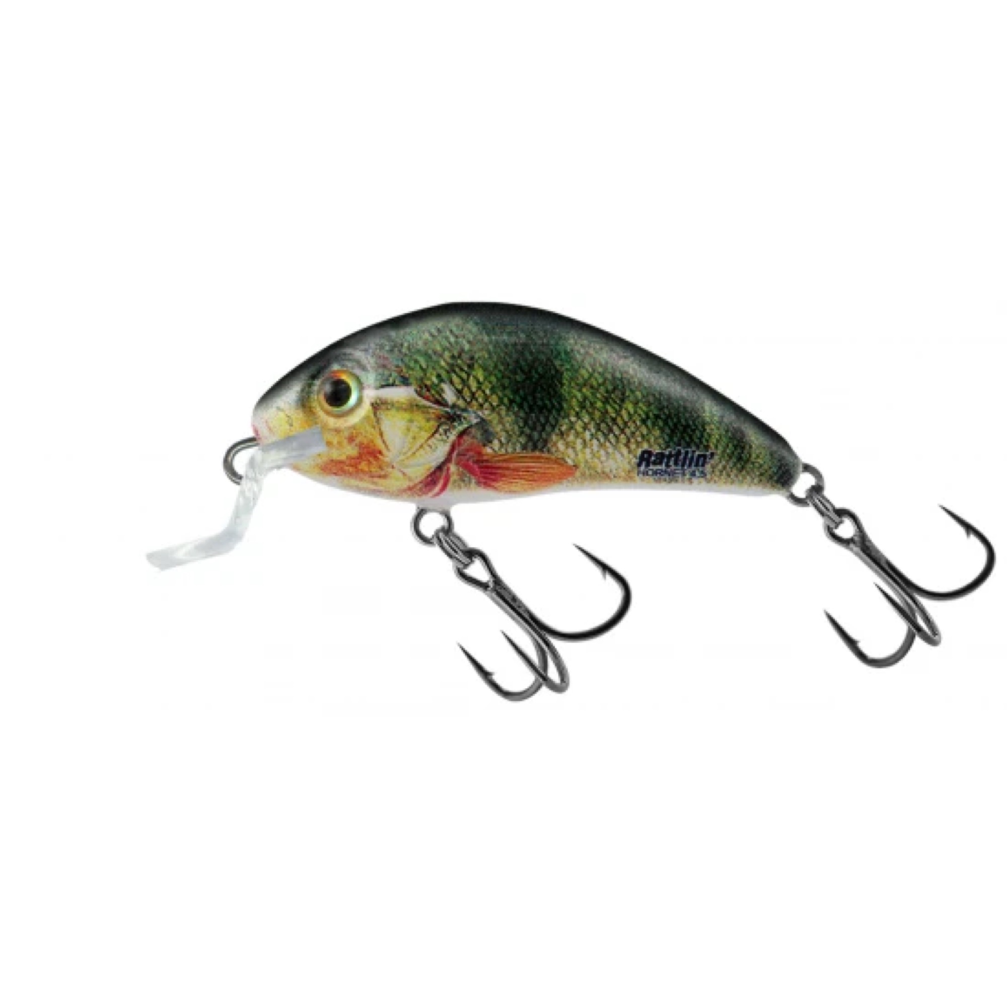 Salmo H4 5Sr