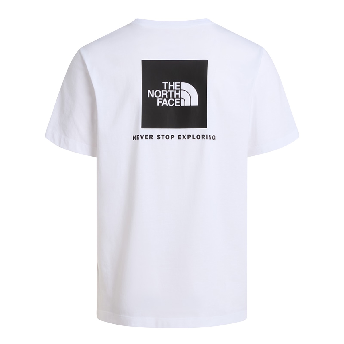 The North Face T-Shirt Evolution Box Nse Regular S/S Heren