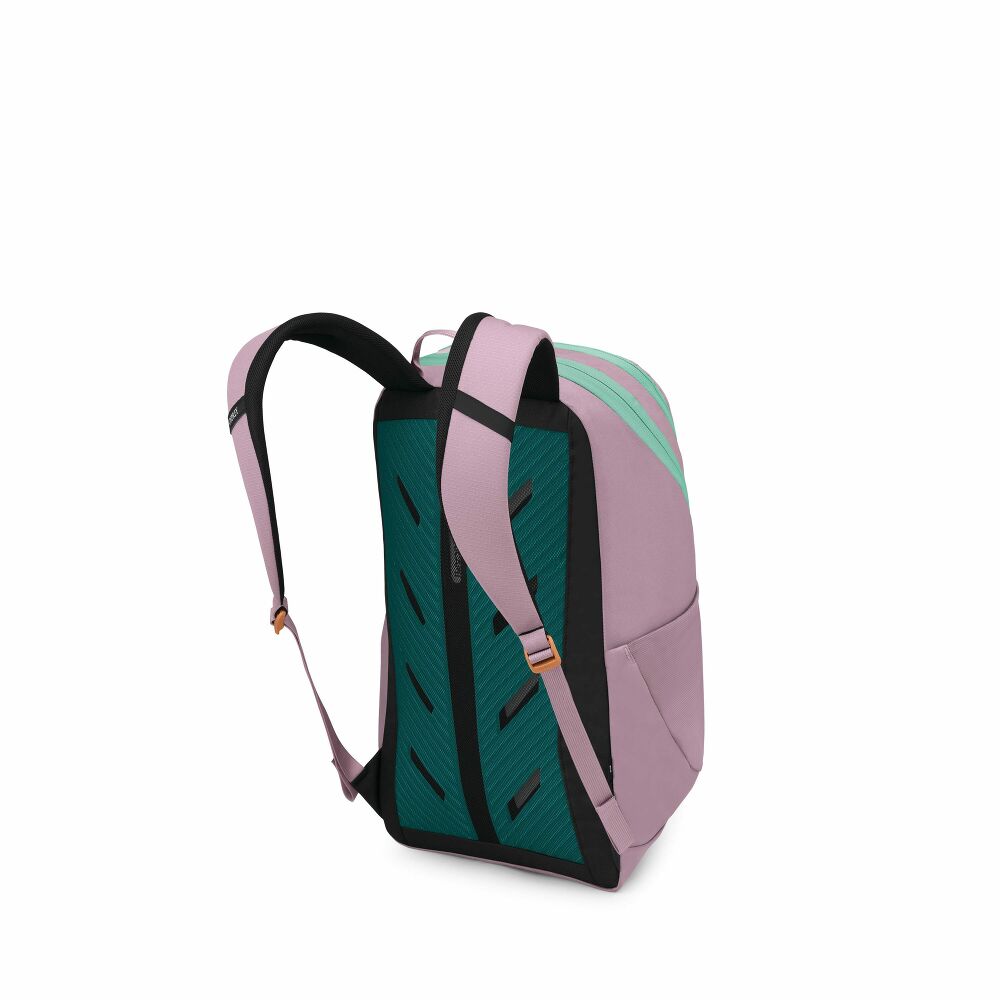 Osprey Astronova