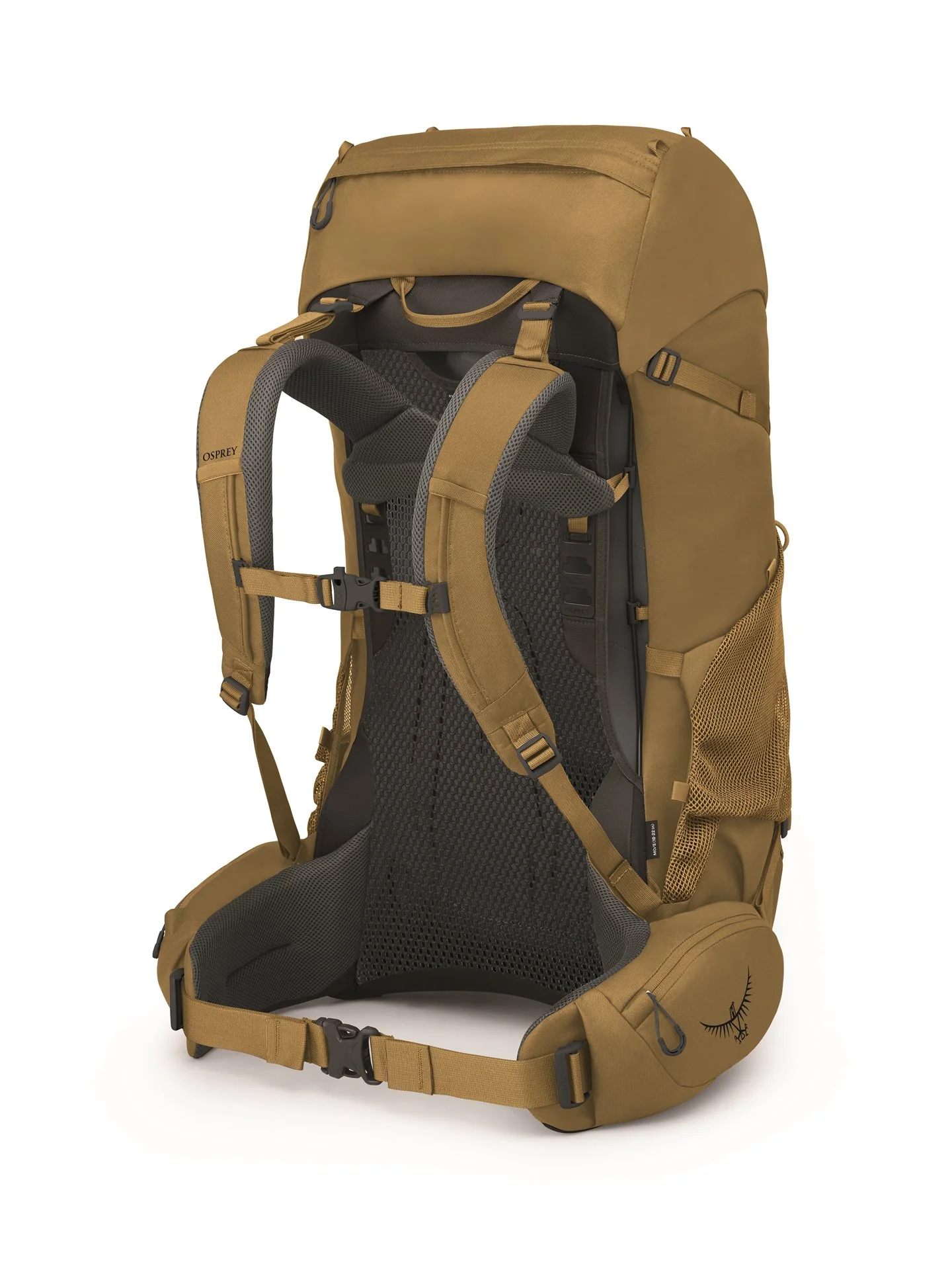 Osprey Rook 65
