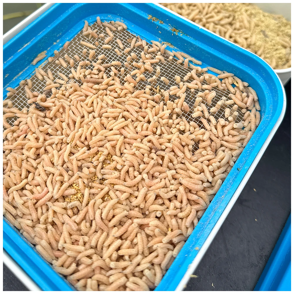 Cresta Bait Tub 1600Ml + Metal Riddle