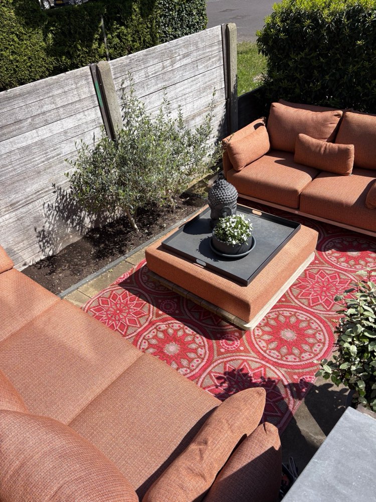 Blommie's Lifestyle Buitenkleed 180x270cm Goud/Roze/Paars