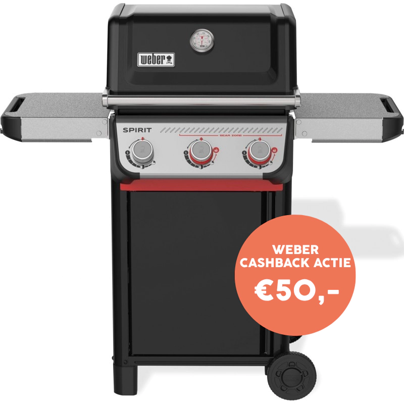 Weber Spirit E-325