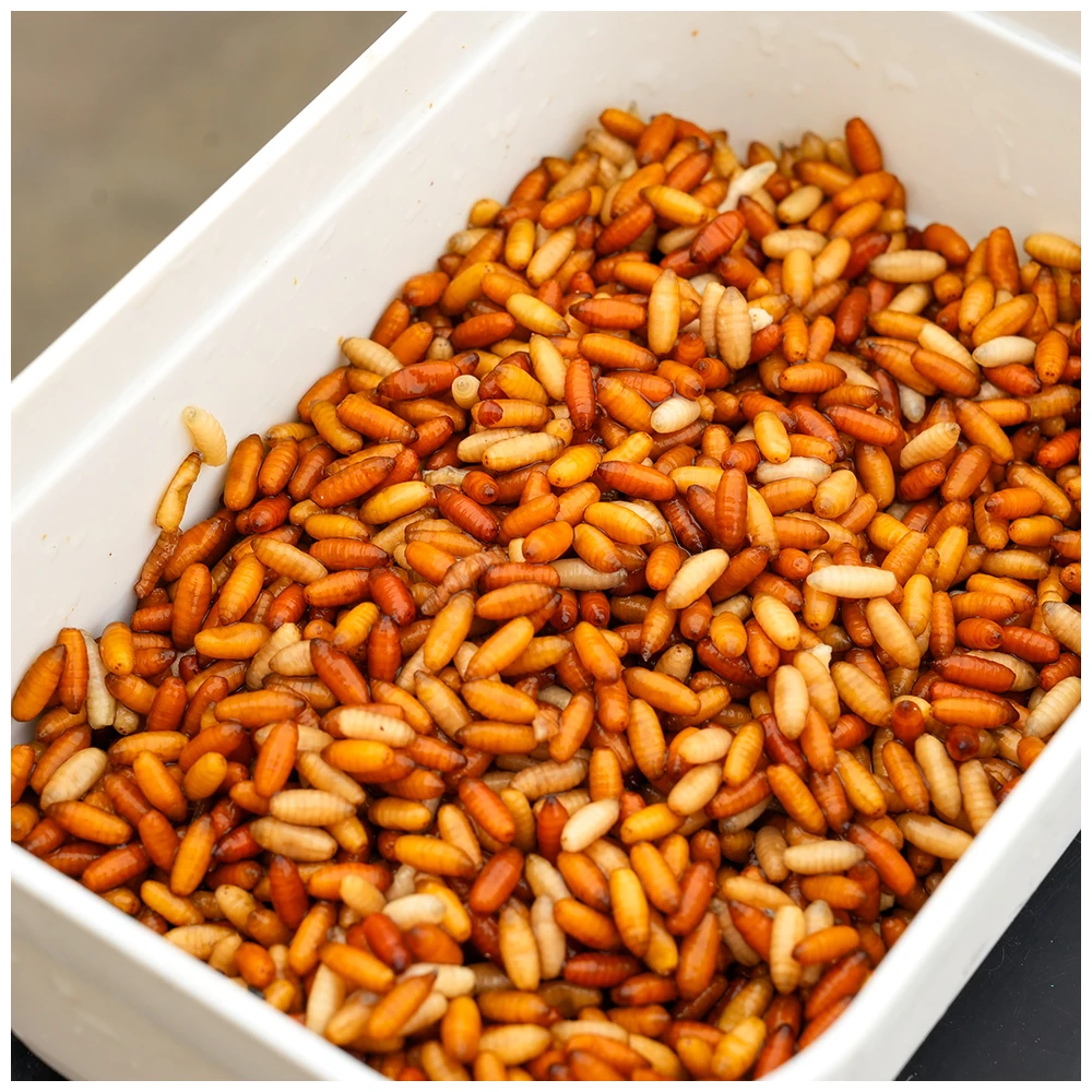 Cresta Bait Tub 600Ml Holed Lid