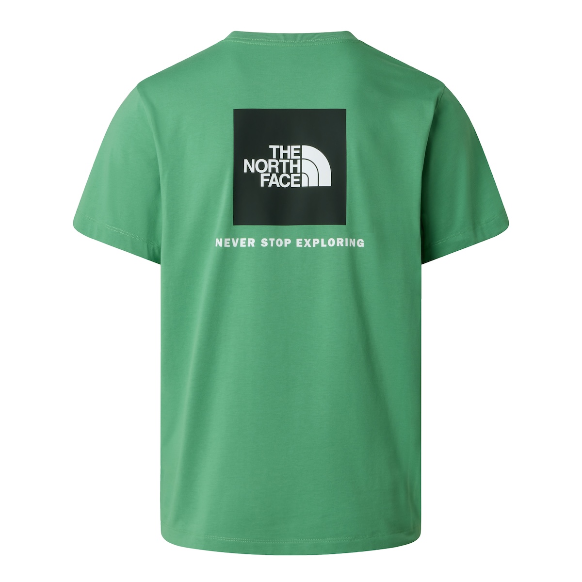 The North Face T-Shirt Evolution Box Nse Regular S/S Heren