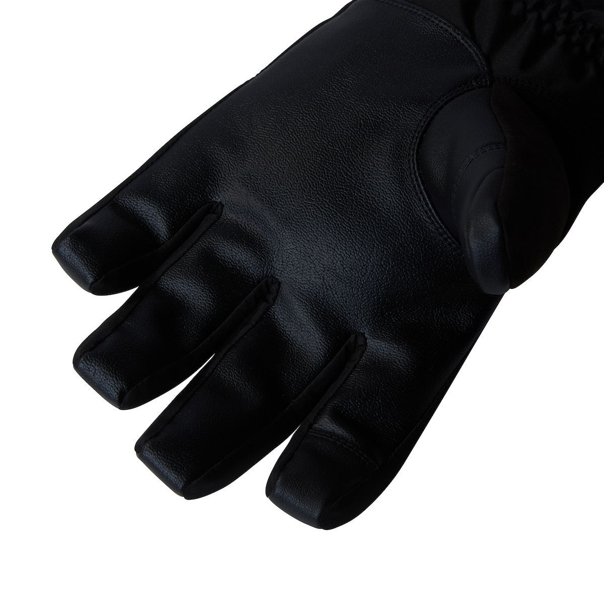 The North Face Montana Ski Handschoen Heren