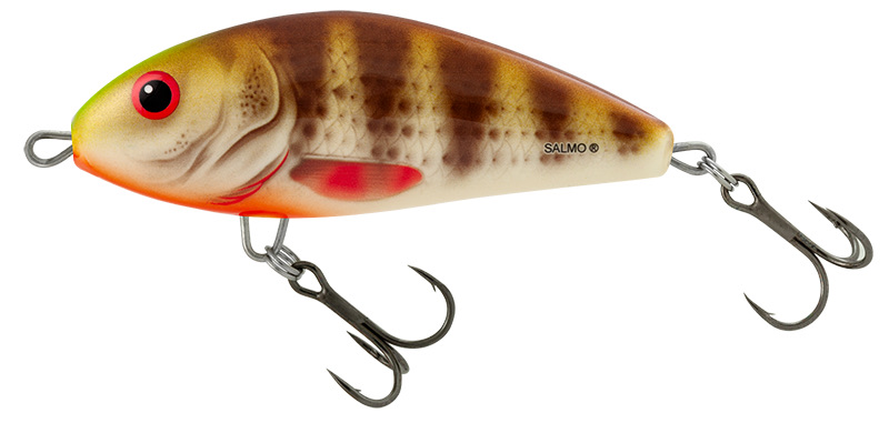 Salmo Fatso 8 Fl Spotted Brown Perch