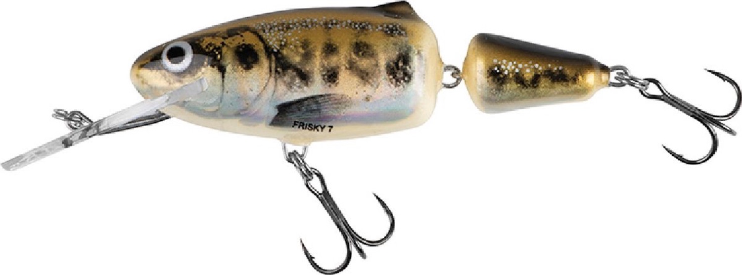 Salmo Friskey 7 Dr Fl