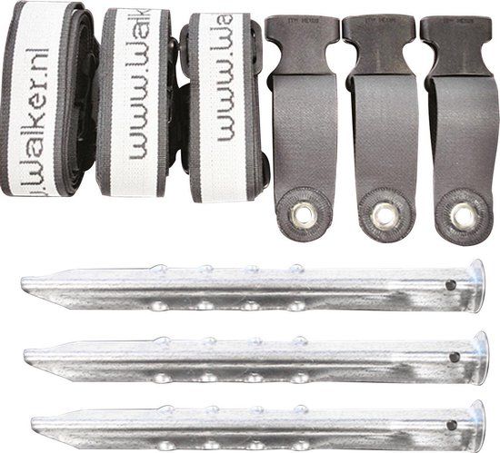 ProPlus Stormband Set 2X 2,9M | Kampeerhal Roden